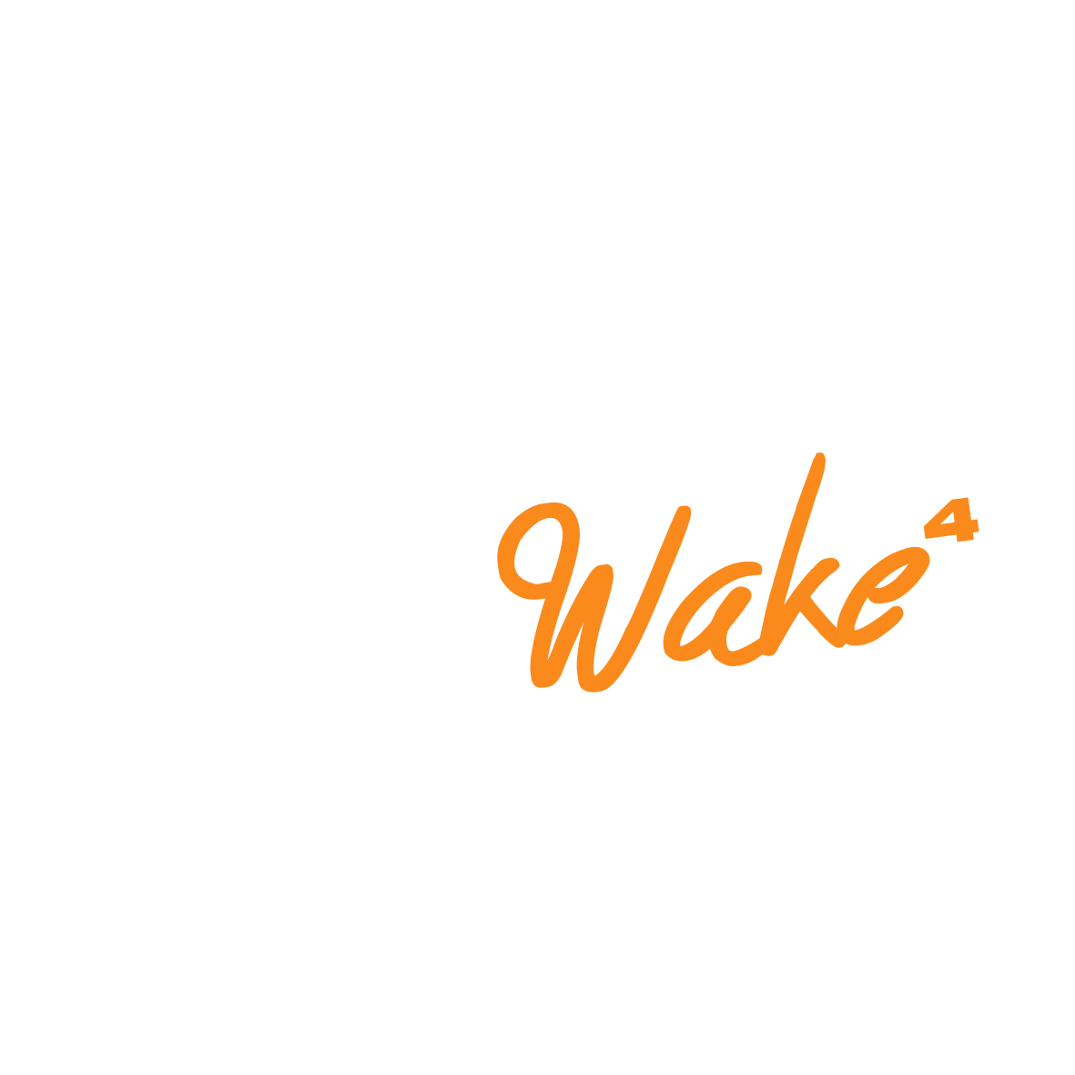 AUDIO WAKE